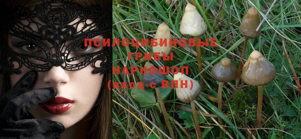 mix Мегион