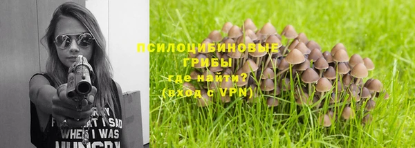 трава Медвежьегорск