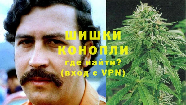трава Медвежьегорск